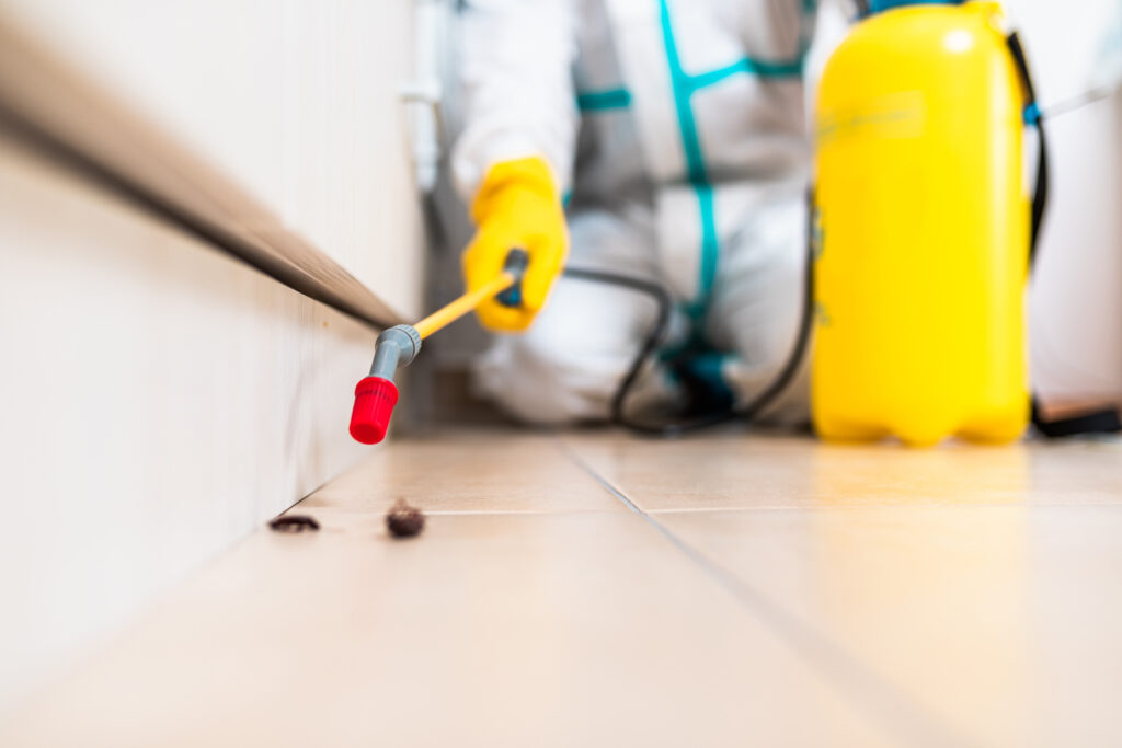 Fairfield Cockroach Experts