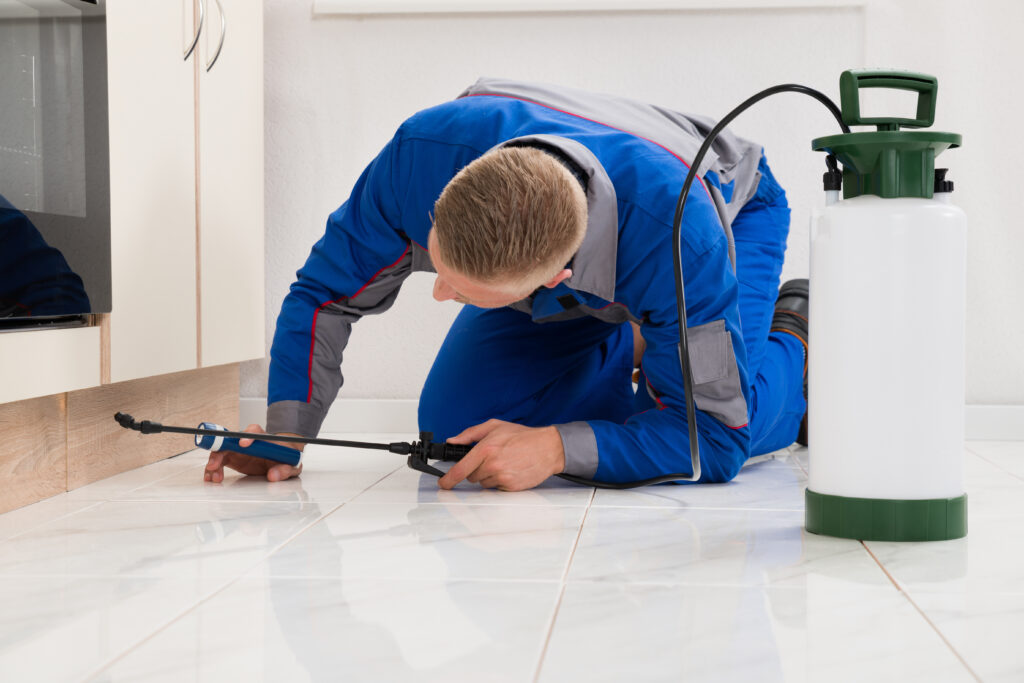 Fairfield Ant Control Xperts